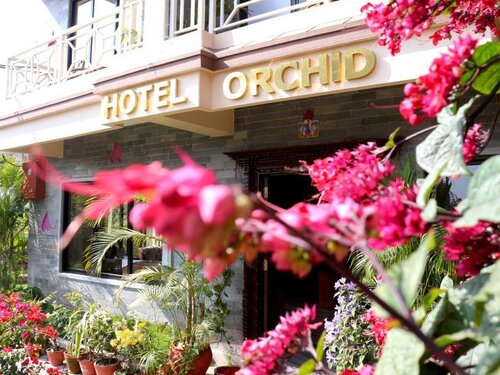 Hotel Orchid