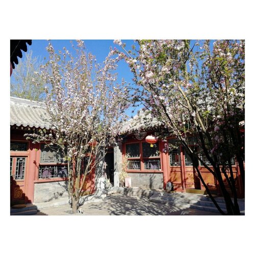 Fly By Knight Courtyard Hotel