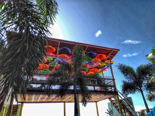 Sascha’s Resort Oslob