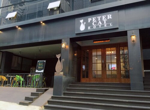 Petercat Hotel Sinchon (Hongdae)
