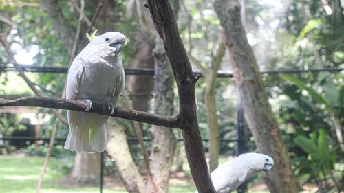 Crowne Plaza Residences Port Moresby