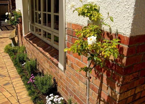 Wild Olive Luxury Guest House