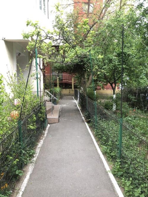 Green Apartment No 12