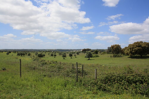 Flag Hotel Santarém