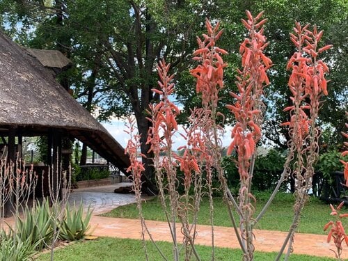 The Victoria Falls Waterfront