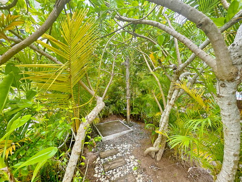 The Seaboards Apartments Seychelles