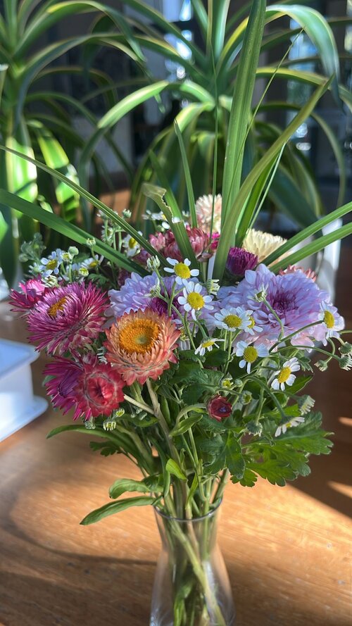 Bossa Nova Beirut Hotel