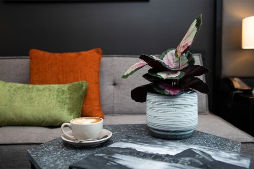 Rydges Wellington Airport