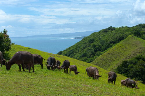 Lelewatu Resort Sumba
