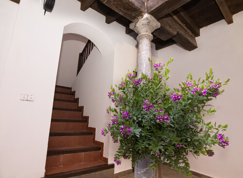 Apartamentos Nahira Suites 3000