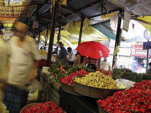Novotel Chennai Chamiers Road