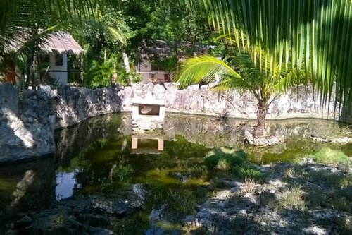 Casa de Las Tortugas I Tour Akumal