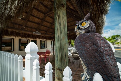 Travelodge by Wyndham Florida City/Homestead