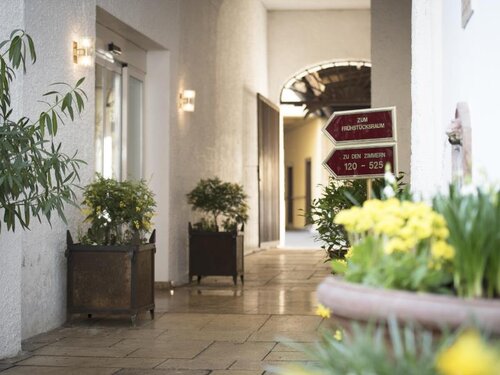 Schlicker - Zum Goldenen Löwen