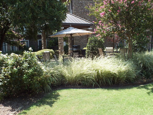 Sonesta ES Suites Dallas - Las Colinas