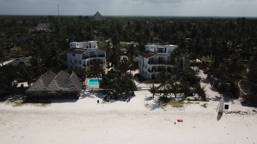 Albatross Ocean View