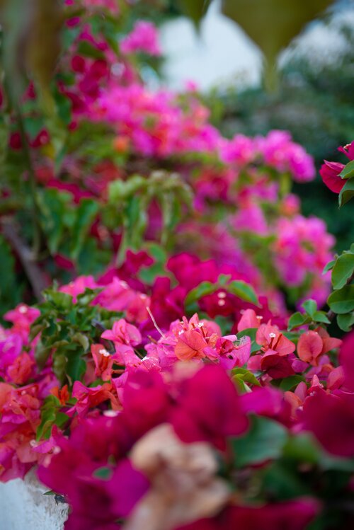 Bougainville Bay Hotel