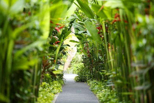 The Kasih Villas & Spa