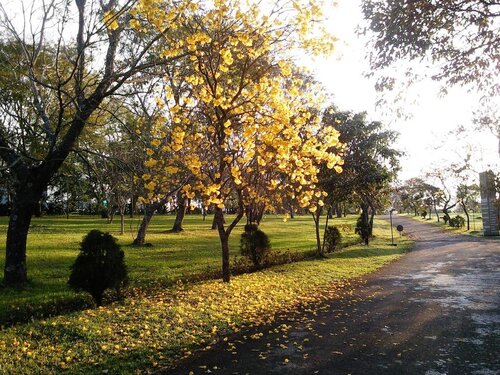 Lago Das Pedras Hotel