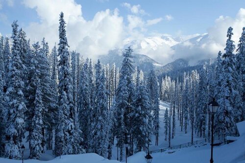 The Khyber Himalayan Resort & Spa