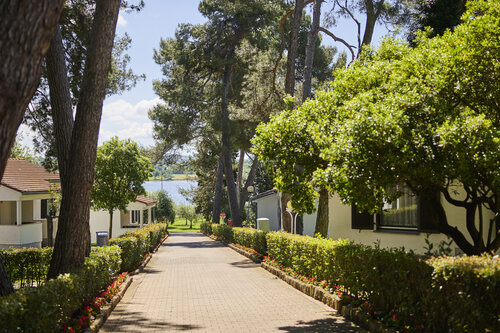 Apartments Galijot Plava Laguna