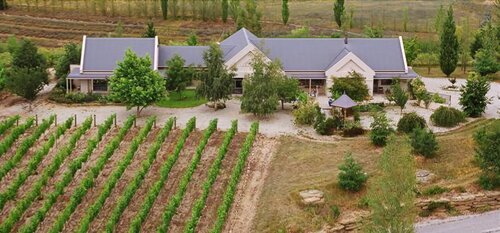 Hawkdun Rise Vineyard & Accommodation