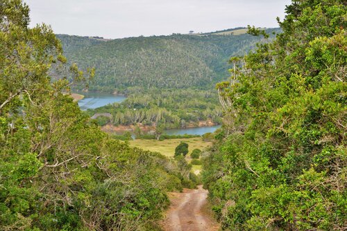 Sibuya Game Reserve & Lodge