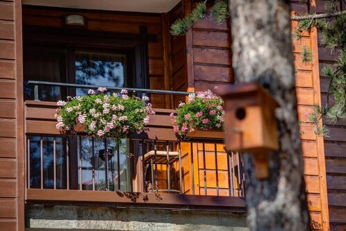 Maxi Velingrad Spa Hotel