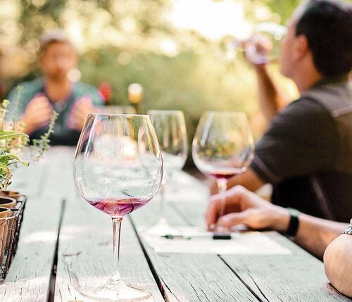 Dr. Wilkinson'S Backyard Resort And Mineral Spring