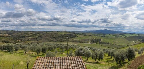 Riserva di Fizzano/Rocca dell Macie