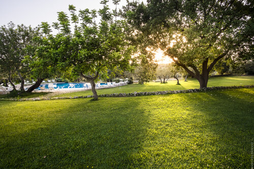 Masseria degli Ulivi