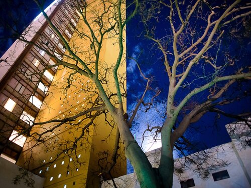 Mision Guadalajara Carlton