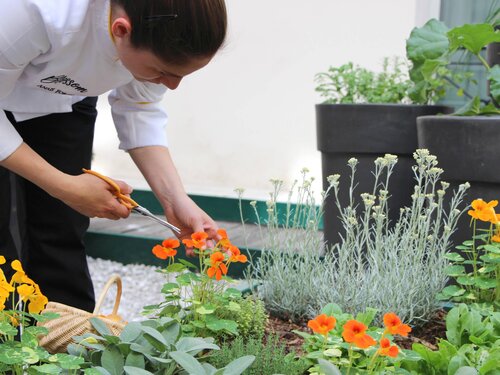 Sofitel Paris Le Faubourg