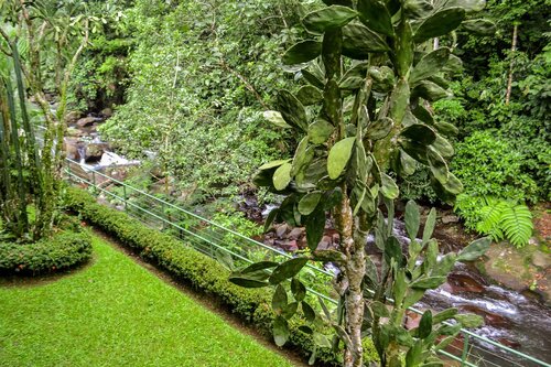 Occidental El Tucano