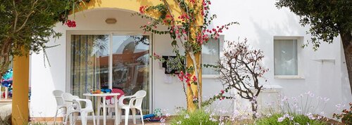 Comitas Isla del Aire