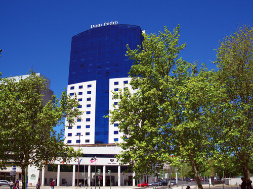 Dom Pedro Lisboa