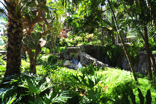 Parque Tropical