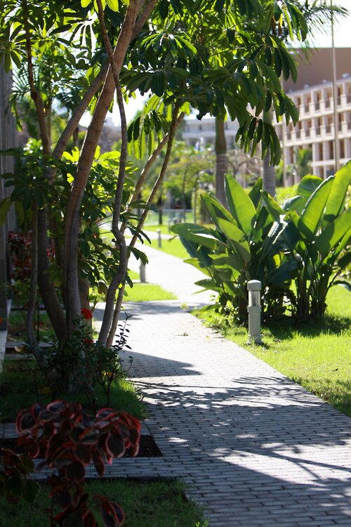 Hotel LIVVO Costa Taurito