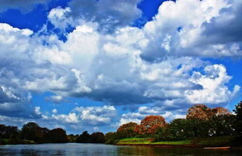 Caño Negro Natural Lodge
