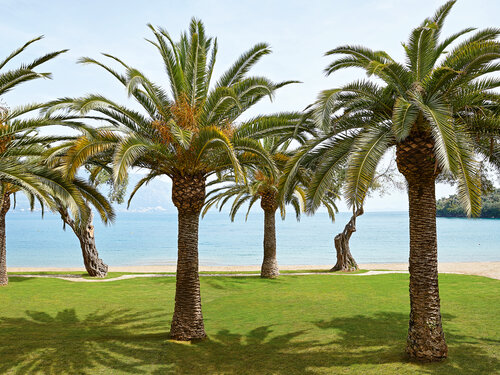 Grecotel Luxme Daphnila Bay