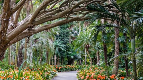 Intercontinental Sydney