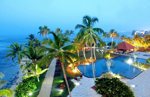 Hikka Tranz by Cinnamon