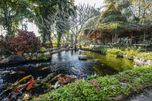 Phu Chaisai Mountain Resort & Spa Chiangrai