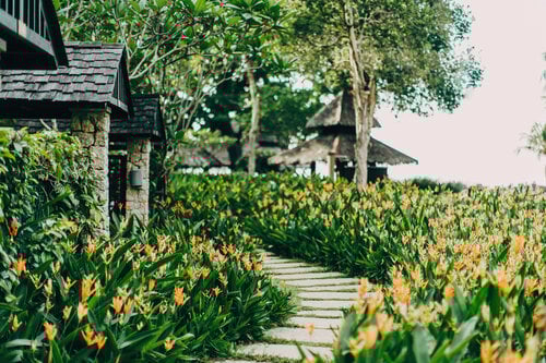 Shangri-La Rasa Sayang, Penang