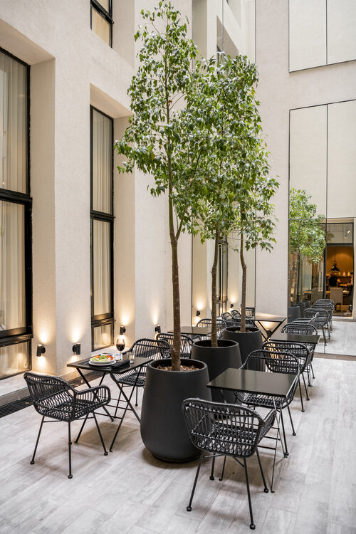 Efe Hotel and Cowork