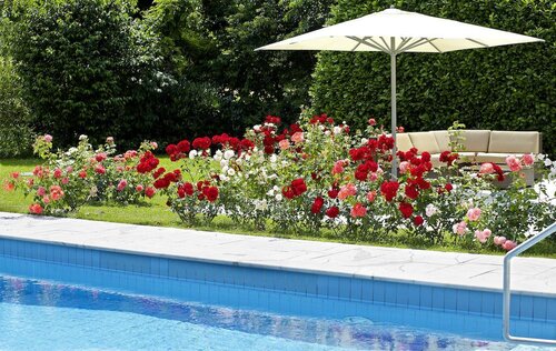 Hotel Hirschen In Freiburg-Lehen