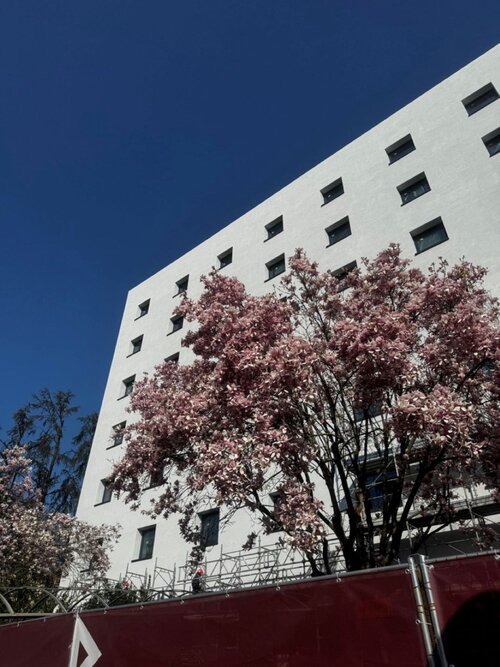 Acca Sporting Milano - AA Hotels