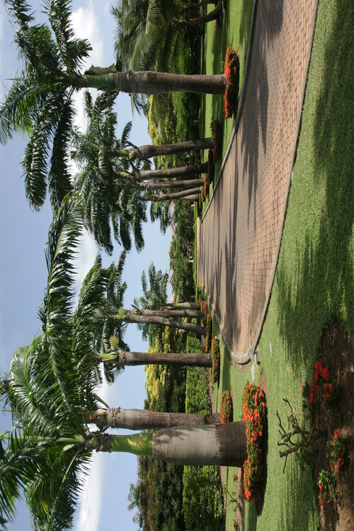 Coco Reef Resort & Spa