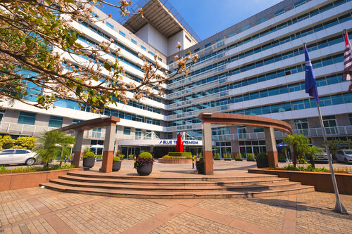 Blue Tree Premium Verbo Divino  Nacoes Unidas