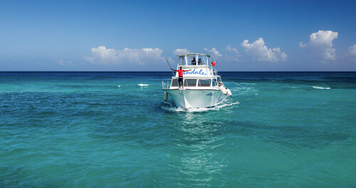 Sandals Ochi Beach Resort